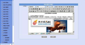 專業進出口服務公司整站解決方案 美工大氣后臺完整，精品源碼共享